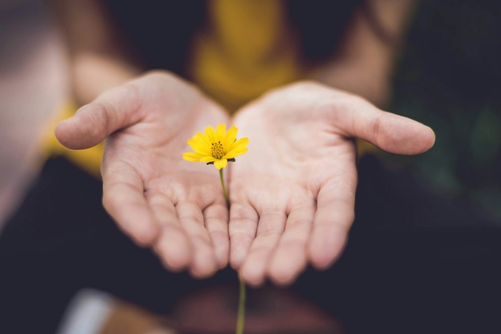 Photo avec effet de flou sélectif : une femme tenant des fleurs à pétales jaunes